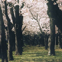 廣州天德教育咨詢(xún)服務(wù)有限公司